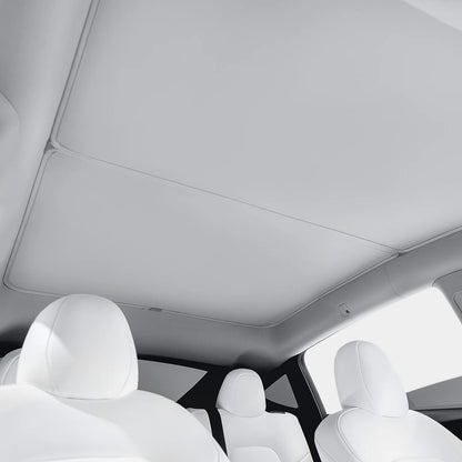 HALOBLK TESLA 2025-2026 Model Y Juniper | Model YL | Model 3 Strong Magnetic Clips - 1 SET (9PCS)