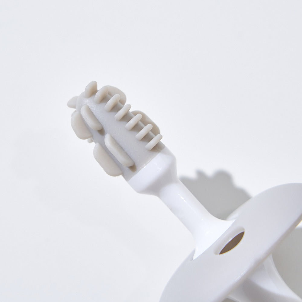The Twelve 2 Pieces Baby Toothbrush (TT-B)